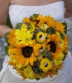 /album/galeria/own-sunflower-jpg/